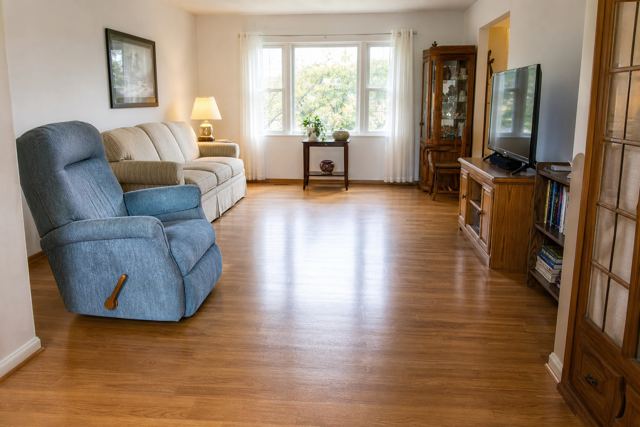 living: Clean room (control)